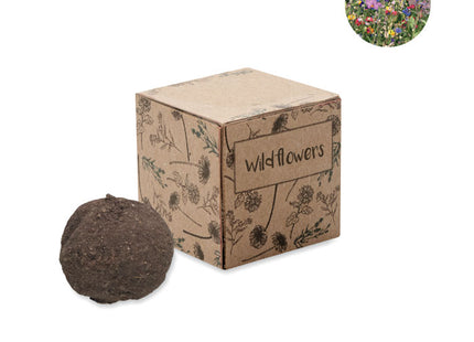 Seedbomb Anzuchtset