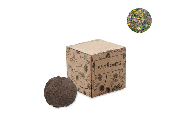 Seedbomb Anzuchtset