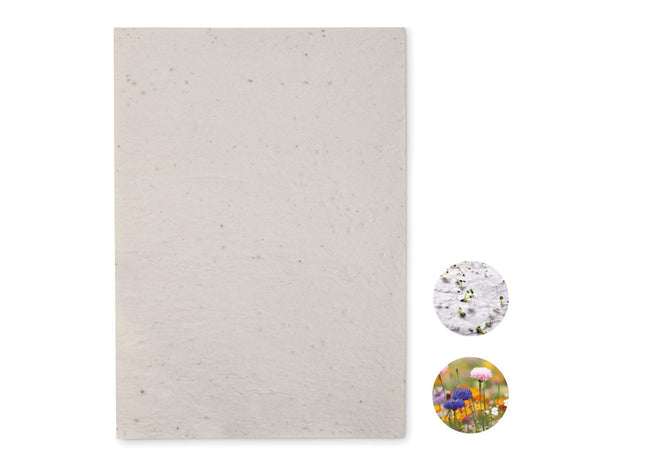 A4-Bogen aus Wildblumensamenpapier