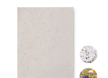 A6 Wildblumen-Saatpapierbogen