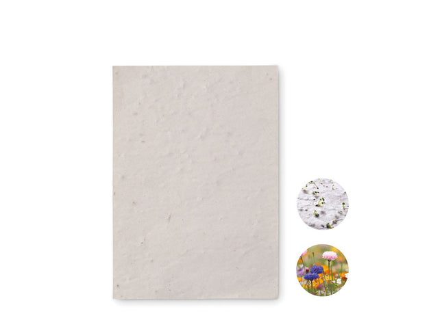 A6 Wildblumen-Saatpapierbogen