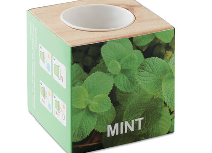 Kräutertopf Holz "MINT"