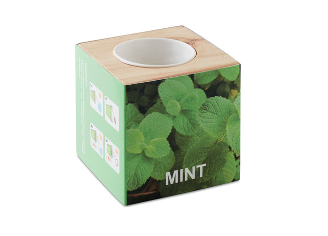 Kräutertopf Holz "MINT"