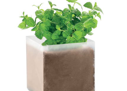 Kompost mit Samen "MINZE"